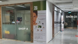 Midpoint Orchard (D9), Retail #465947431